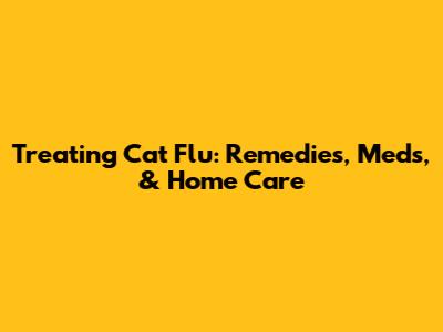 Treating Cat Flu: Remedies, Meds, & Home Care