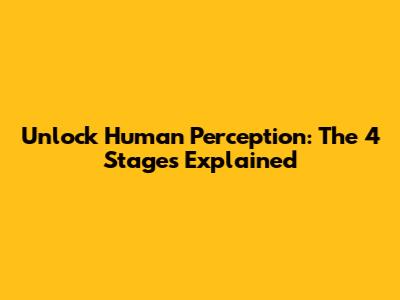 Unlock Human Perception: The 4 Stages Explained