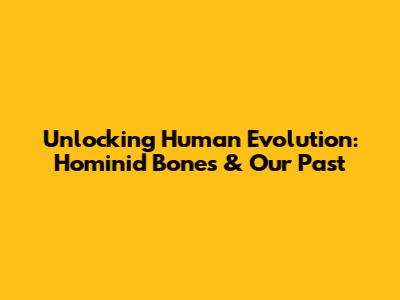 Unlocking Human Evolution: Hominid Bones & Our Past