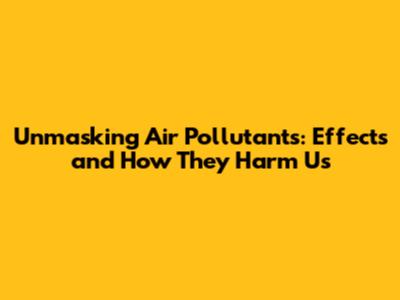 Unmasking Air Pollutants: Effects and How They Harm Us