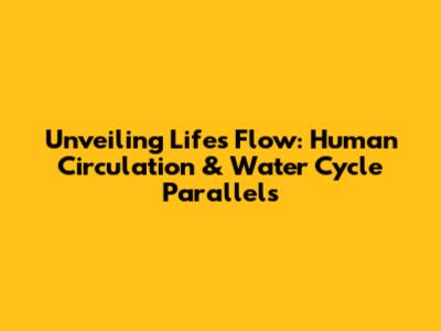 Unveiling Life's Flow: Human Circulation & Water Cycle Parallels