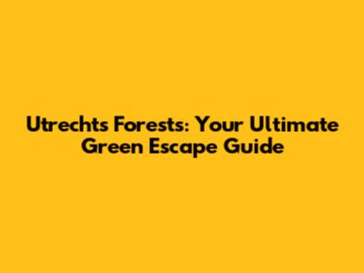 Utrecht's Forests: Your Ultimate Green Escape Guide