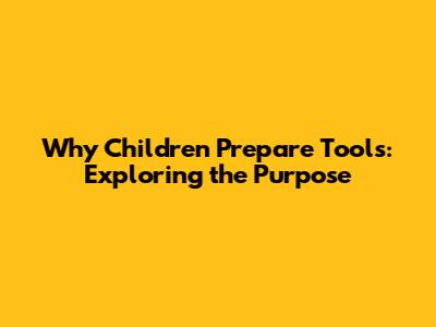 Why Children Prepare Tools: Exploring the Purpose