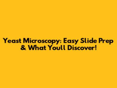 Yeast Microscopy: Easy Slide Prep & What You'll Discover!